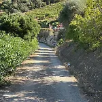 Lägenhet Casa Santa Lucia Portoferraio